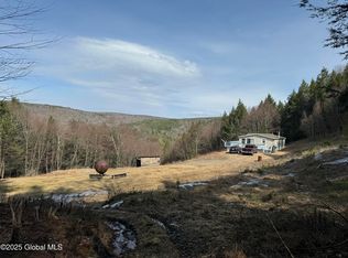 4719 Washington St, Prattsville, NY 12468