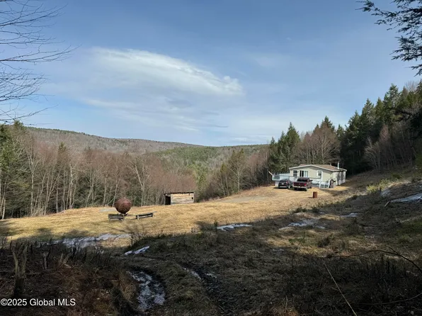 4719 Washington Street, Prattsville, NY 12468