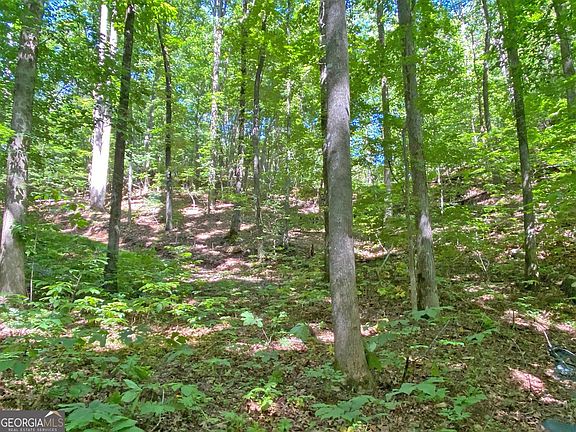 5th image of 24AC Old River Rd