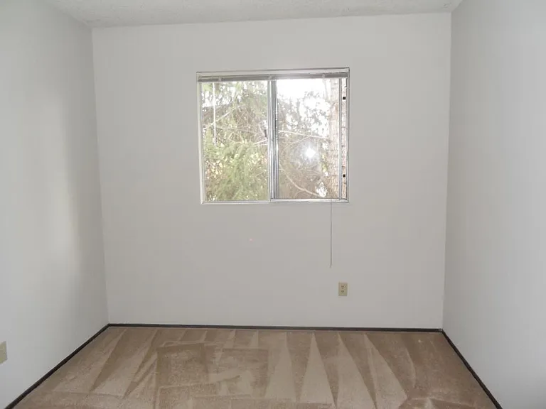 3886 Mulberry Dr #A-8 — Photo 2