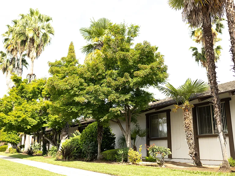 Casa Del Rio Apartments — Photo 8