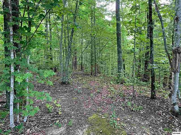 3rd image of 1 Cove Creek Way Lot 1