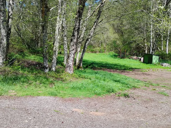 173 Mystery Dr, Amboy, WA 98601