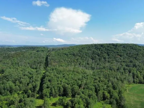 0 Alder Run Rd, Millerton, PA 16936