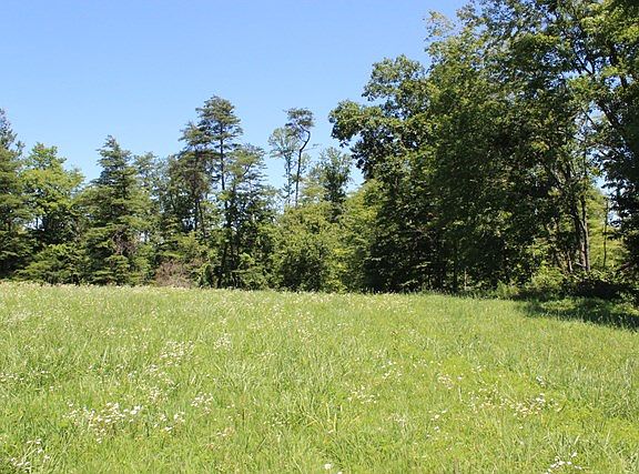 3rd image of 1444 Hestand Chestnut Grv