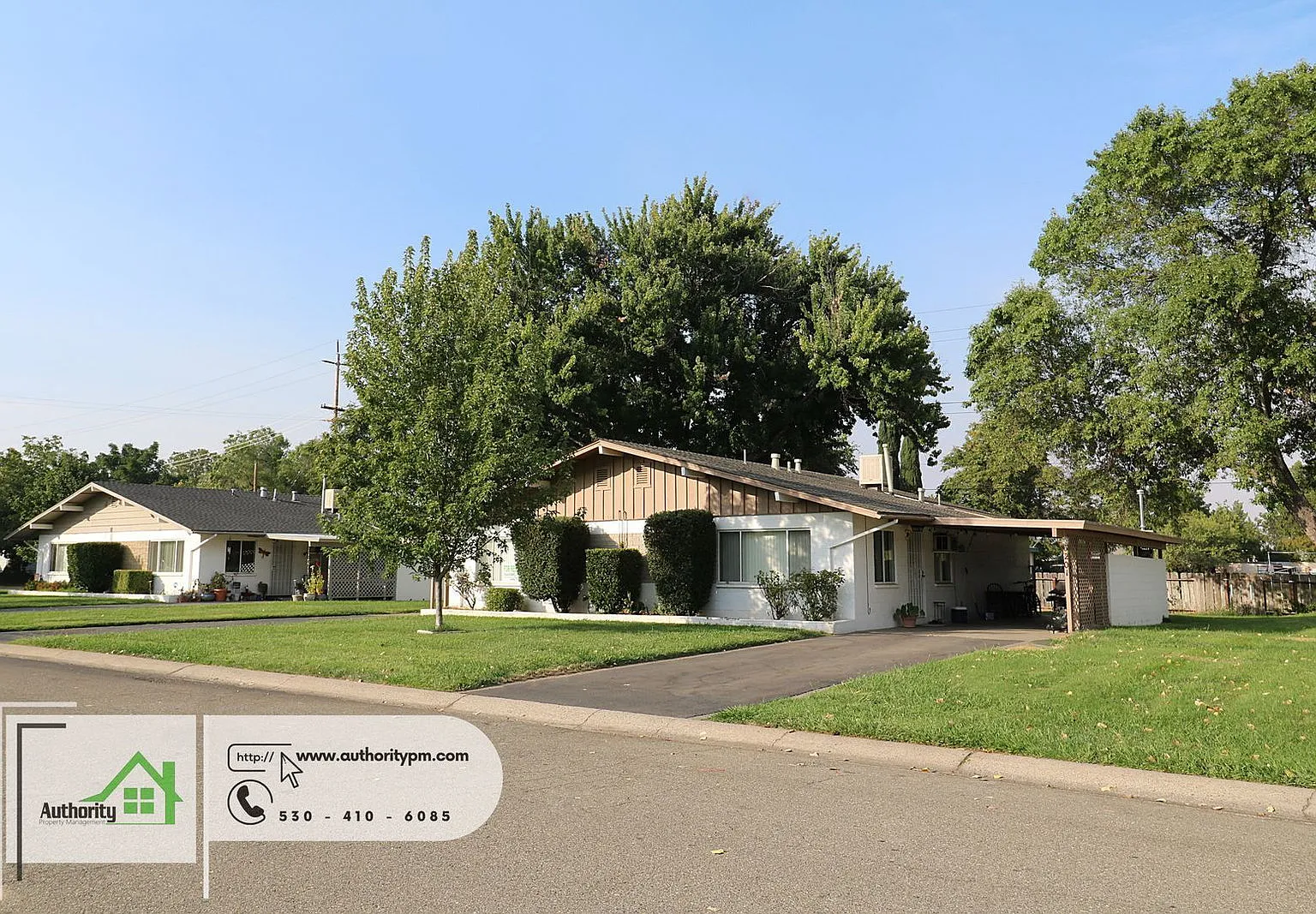 2 bed, 1.0 bath, 800 sqft, $1,295 — Photo 1