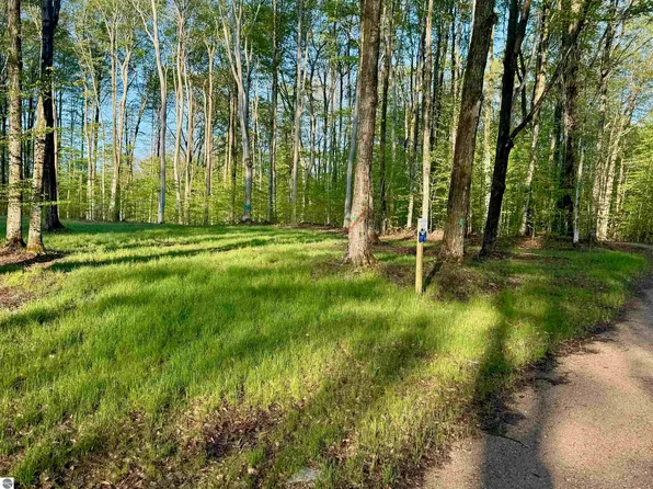 2 S Bright Rd Lot 2, Maple City, MI 49664