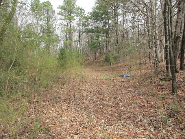 1st image of 203 Boofer Ln