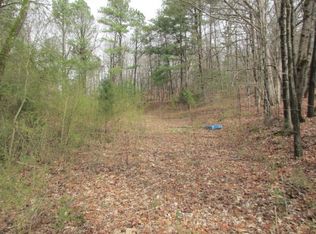 203 Boofer Ln, Evensville, TN 37332