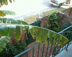Courtyard view from balcony