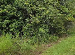 2050 Evans Rd, Polk City, FL 33868