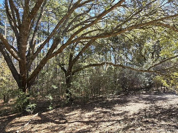 5th image of 0 Canopy Oak Blvd