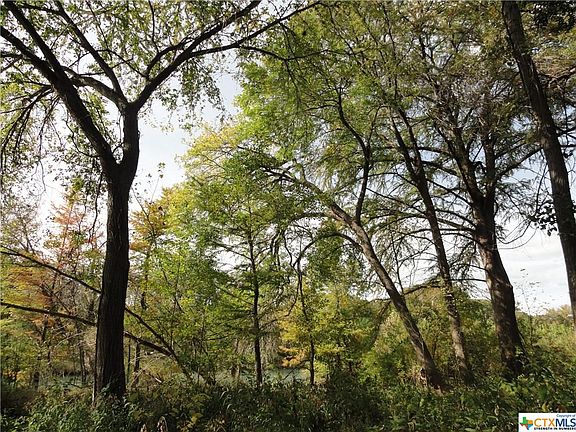 4th image of 12 Gruene Wald