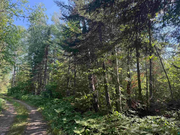 XXB Rocky Top Trail, Hovland, MN 55606