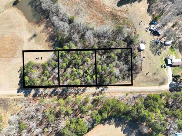 0 Old West Rd Lot 1, Thorsby, AL 35171