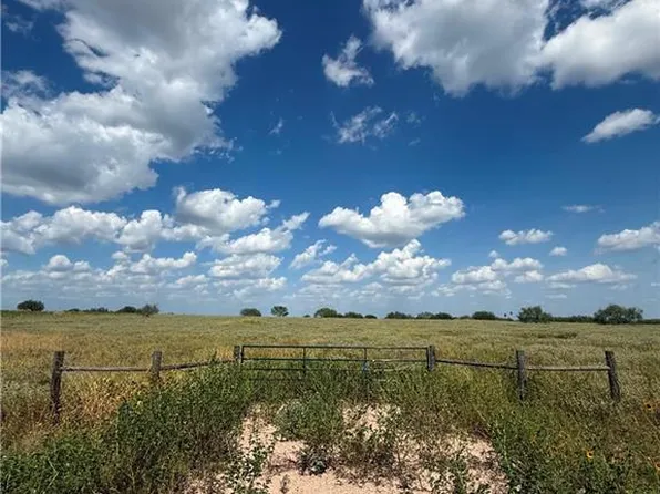 153 Private Rd, Encino, TX 78353