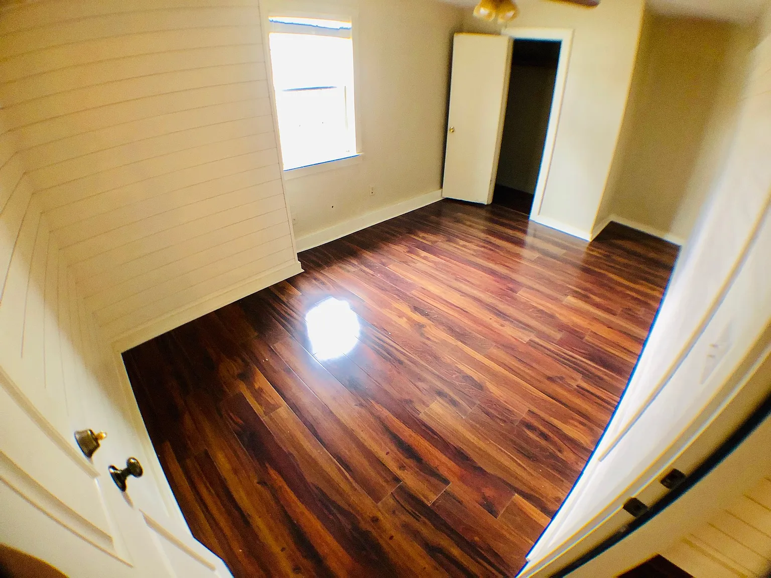 1 bed, 130 sqft, $499 — Photo 2