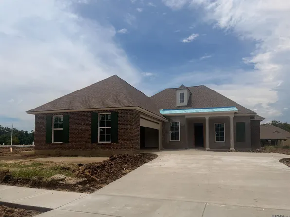 21433 Blue Fin Dr, Springfield, LA 70462