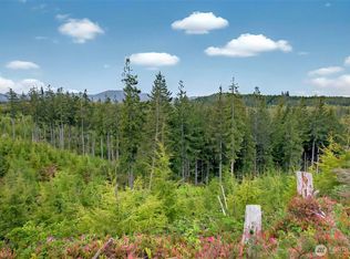 4 Parpala Rd TRACT 4, Naselle, WA 98638