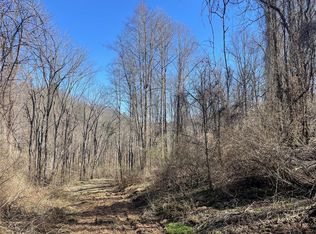 99999 Rockledge Dr, Leicester, NC 28748