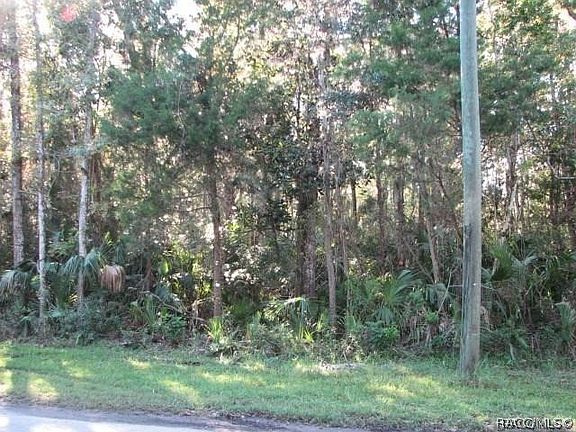3rd image of 0 S Suncoast Blvd