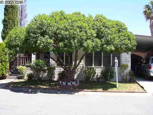906 Dobrich Cir #906 photo 1