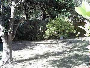 1st image of 585 Sky Harbor Dr Lot 424