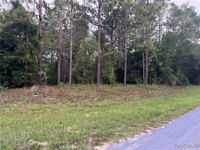 9553 N Travis Dr, Citrus Springs, FL, 34434