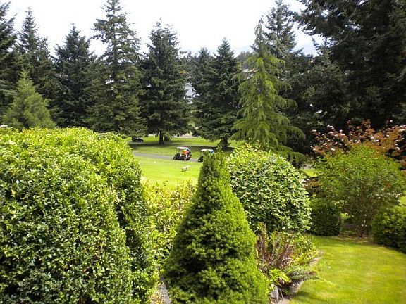 View of golf course from lower level of terraced back yard