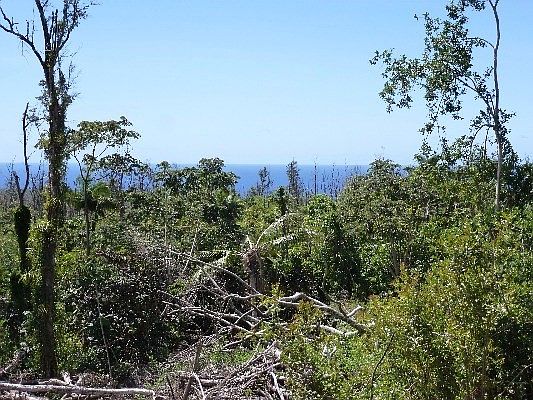 1st image of Malama St Lot 32-A