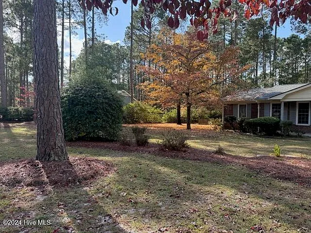 1003 Robinwood Rd — Photo 33