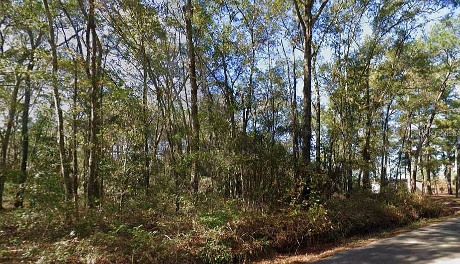 2nd image of Iamonia Landing Rd Lot 11