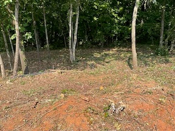 3rd image of 5861 Shades Run Ln Lot 7A