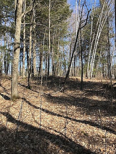 2nd image of Cooks Ln S