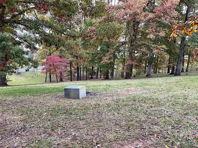 Large yard