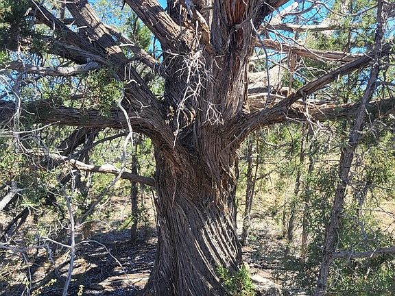 5th image of 220 Six Shooter Trail #220