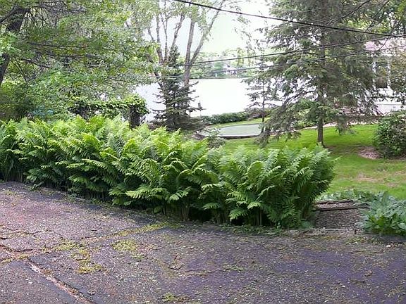 Pond View
