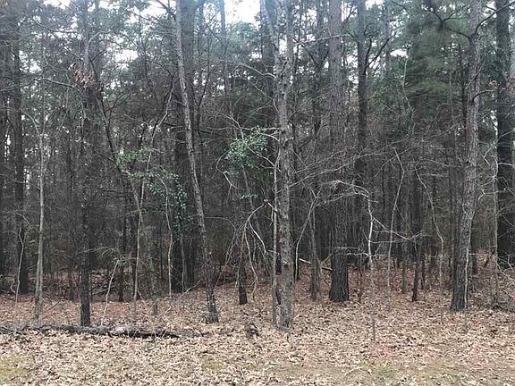 5th image of 0 County Road 4225