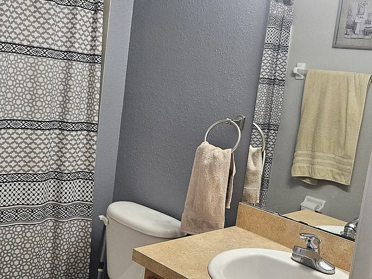 11110 Goldenrod Fern Dr — Photo 26