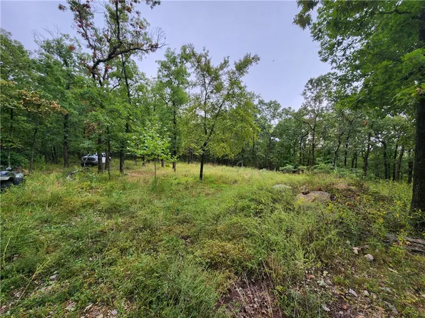 County Road 9731 Deer Rd, Harrison, AR 72601