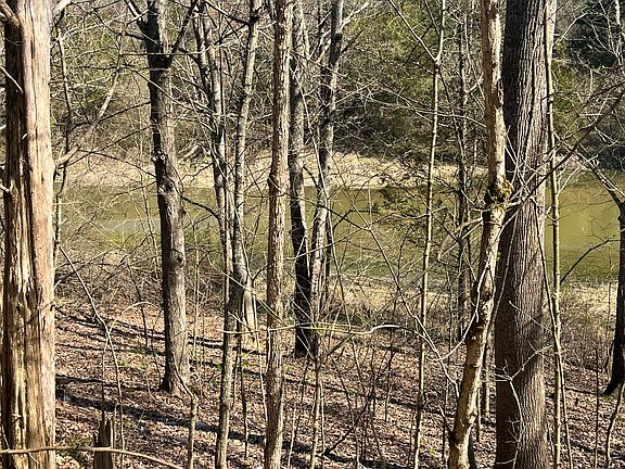 3rd image of 3105 Gratz Rd #59 & 60