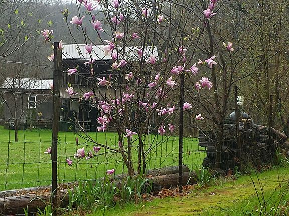 natural gas/electric