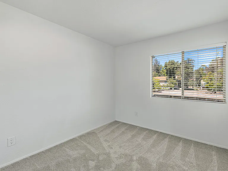 11239 Avenida De Los Lobos — Photo 22