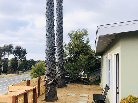 These palm trees perfect for a hammock