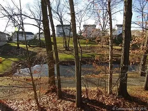 view from deck