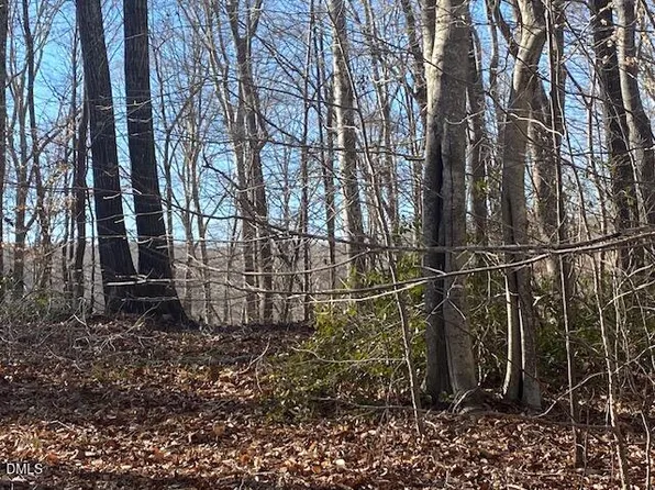 1135 Peninsula Ln #8, Bullock, NC 27507