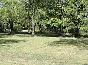 2nd image of 1912 W State Highway 46