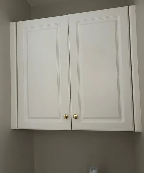 master bathroom cabinet