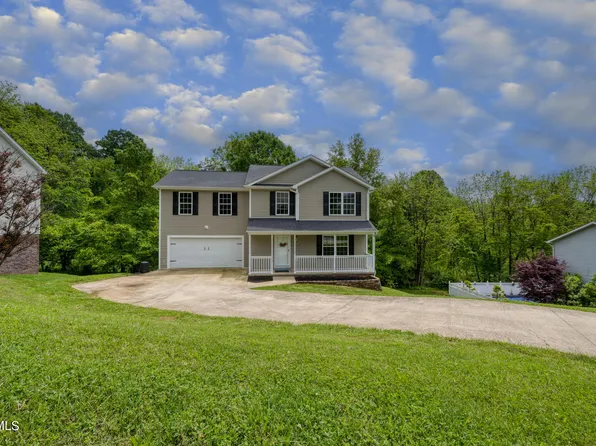 313 Henrys Ln, Bristol, VA 24202