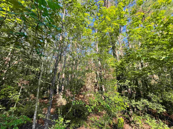 115 Glenwood Ct, Brookeland, TX 75931